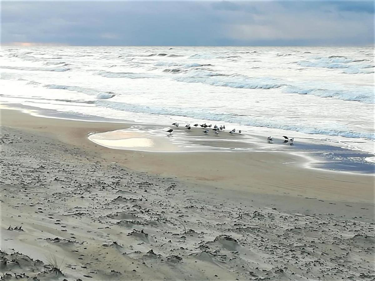 Geltoni Apartamentai Palanga Luaran gambar