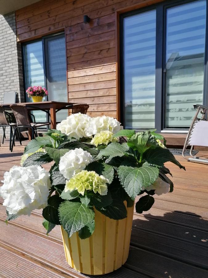 Geltoni Apartamentai Palanga Luaran gambar