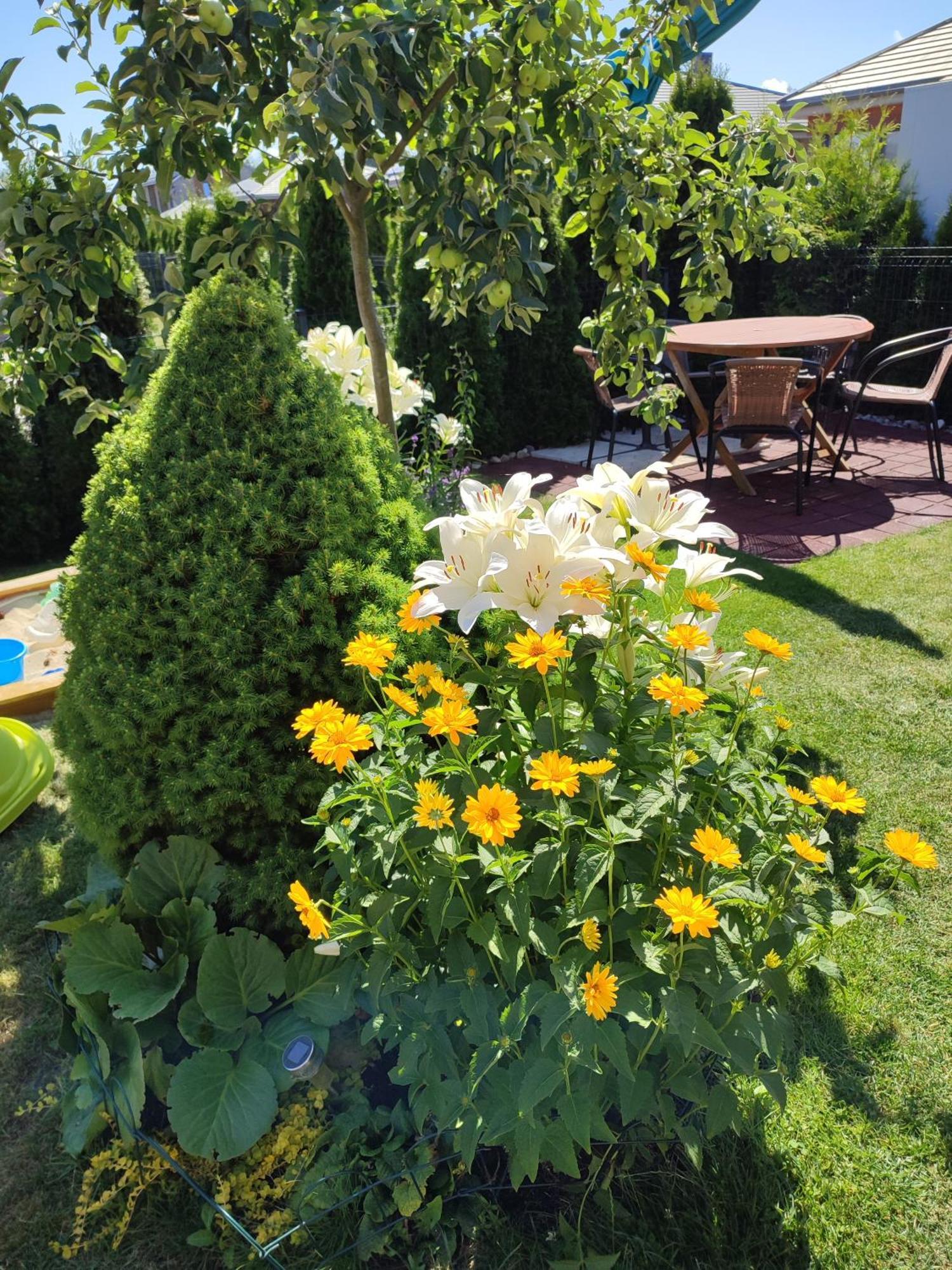 Geltoni Apartamentai Palanga Luaran gambar
