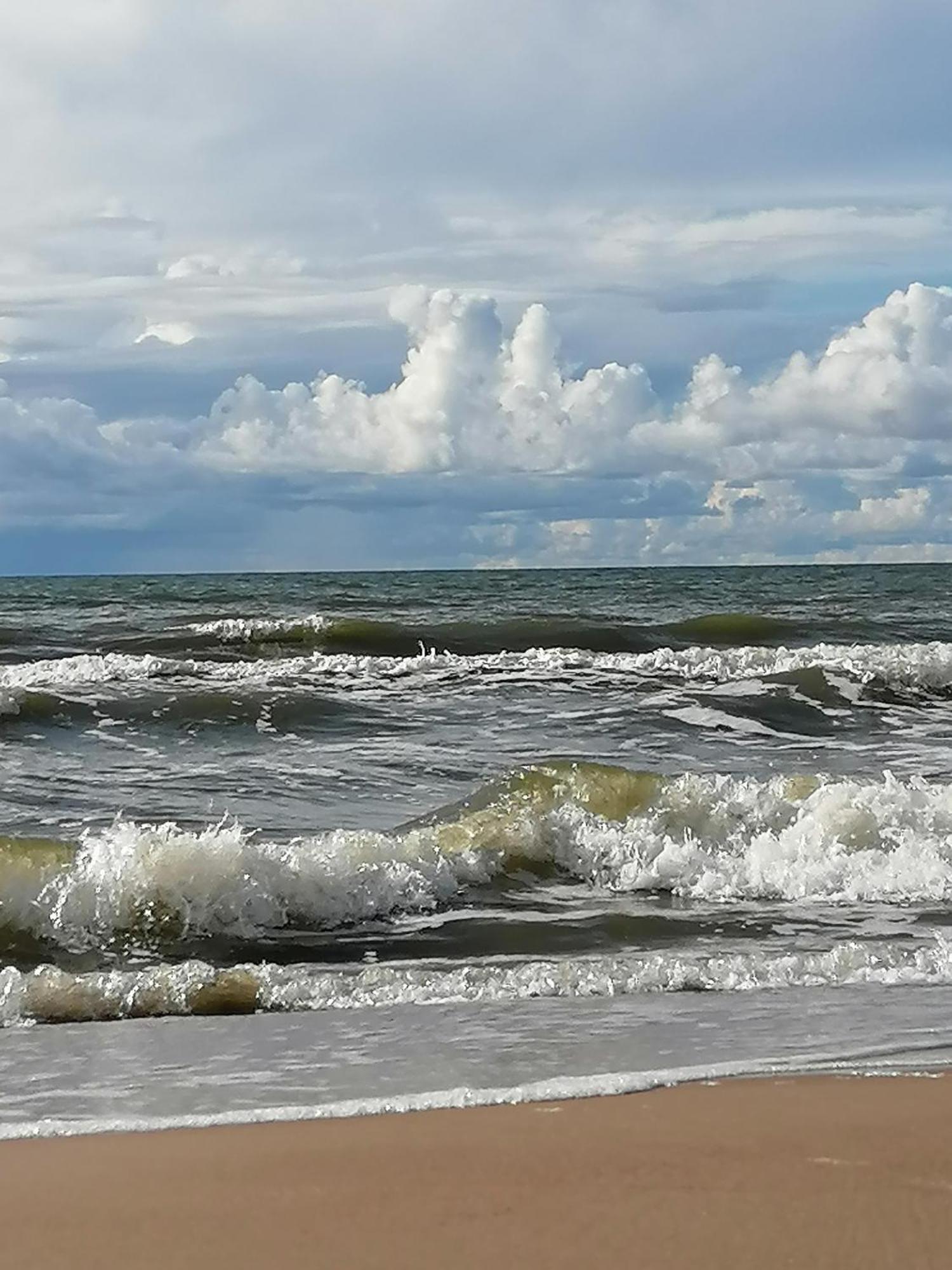 Geltoni Apartamentai Palanga Luaran gambar