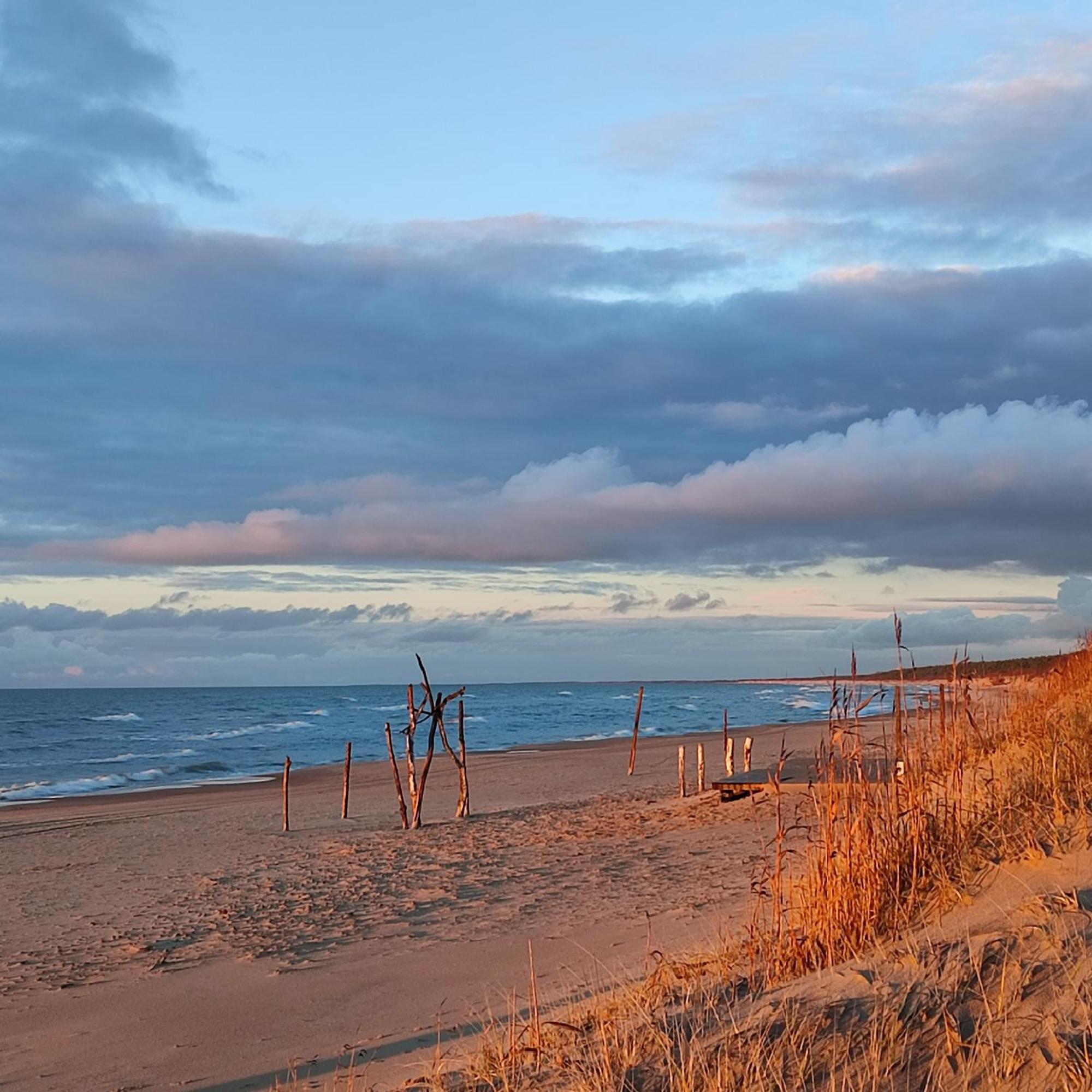 Geltoni Apartamentai Palanga Luaran gambar