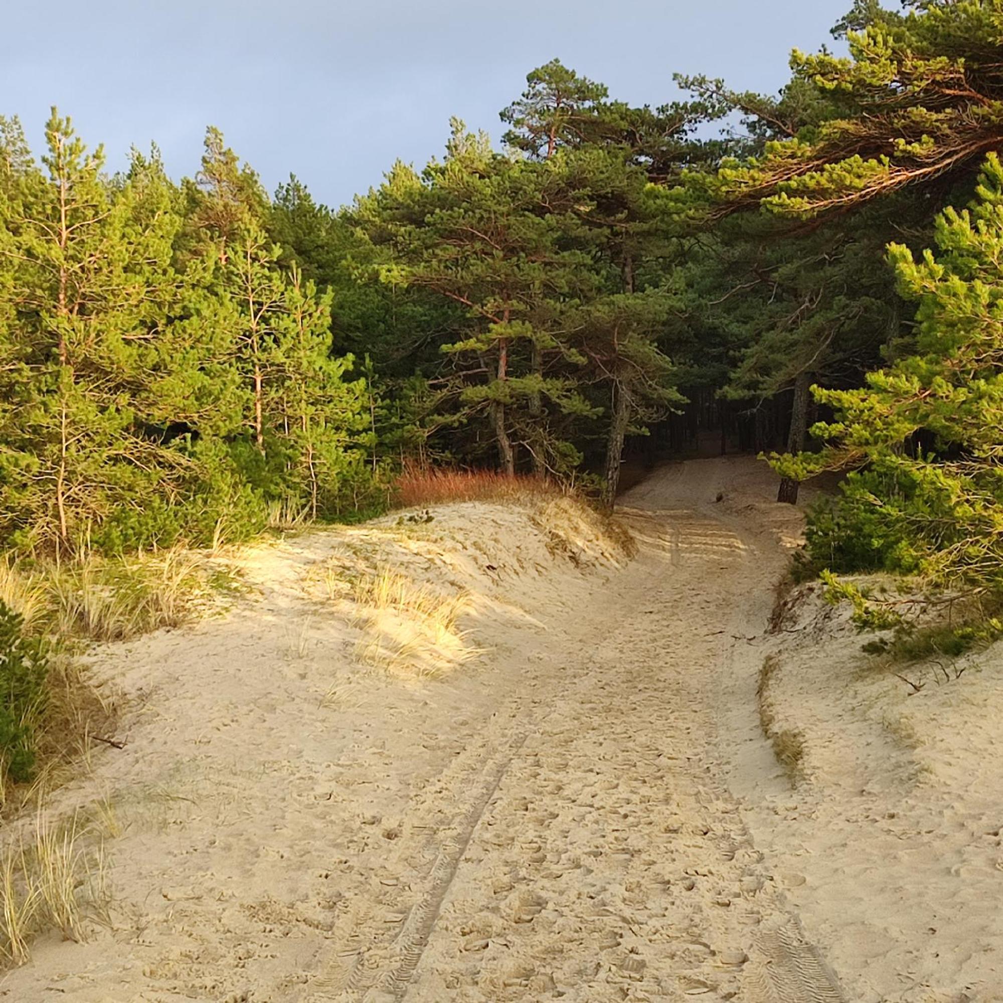 Geltoni Apartamentai Palanga Luaran gambar