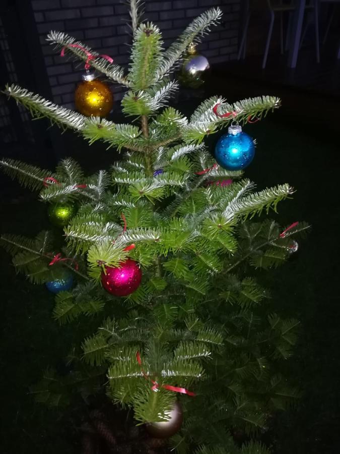 Geltoni Apartamentai Palanga Luaran gambar